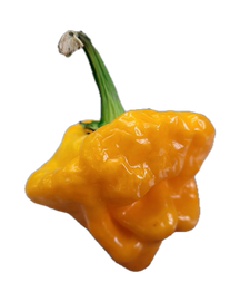 Перец чили Scotch Bonnet